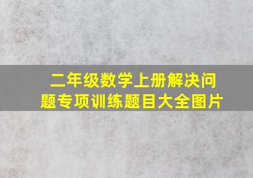 二年级数学上册解决问题专项训练题目大全图片