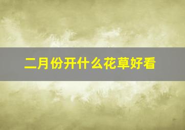 二月份开什么花草好看