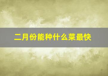 二月份能种什么菜最快