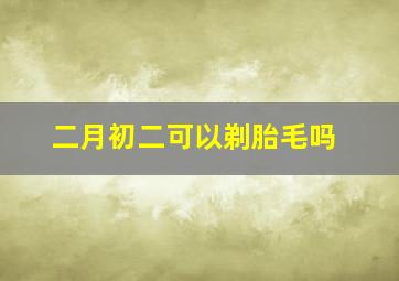 二月初二可以剃胎毛吗