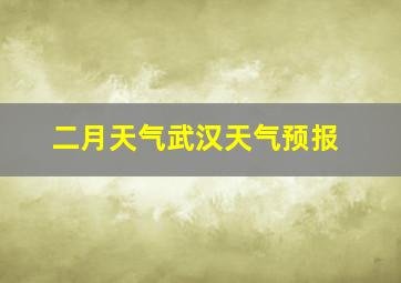 二月天气武汉天气预报