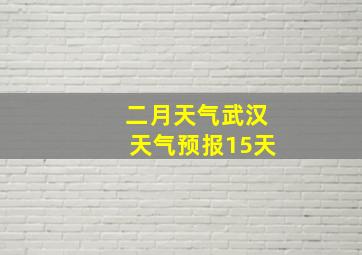 二月天气武汉天气预报15天