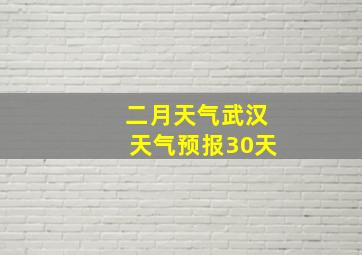 二月天气武汉天气预报30天