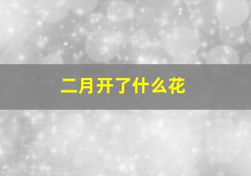 二月开了什么花