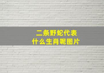 二条野蛇代表什么生肖呢图片