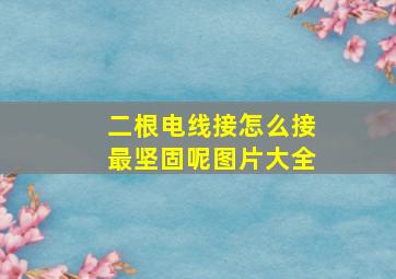 二根电线接怎么接最坚固呢图片大全