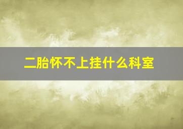 二胎怀不上挂什么科室