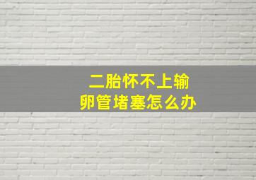 二胎怀不上输卵管堵塞怎么办