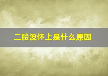 二胎没怀上是什么原因