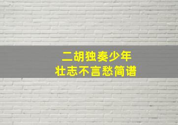 二胡独奏少年壮志不言愁简谱