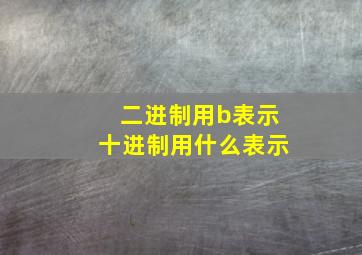 二进制用b表示十进制用什么表示