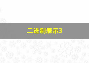 二进制表示3