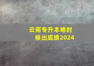 云南专升本啥时候出成绩2024