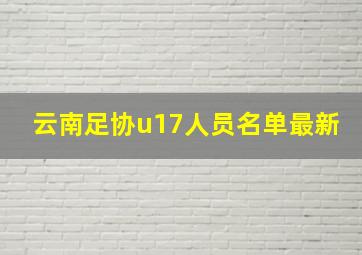 云南足协u17人员名单最新