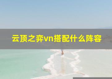 云顶之弈vn搭配什么阵容