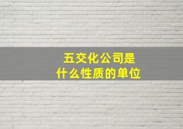 五交化公司是什么性质的单位