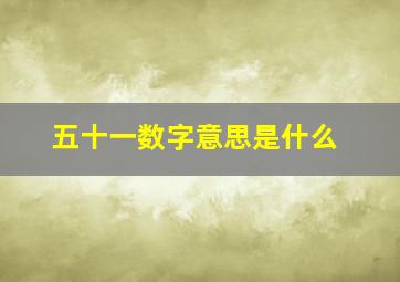 五十一数字意思是什么