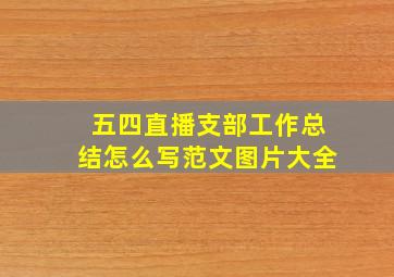 五四直播支部工作总结怎么写范文图片大全