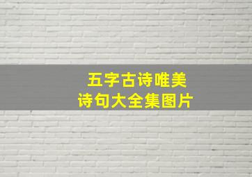 五字古诗唯美诗句大全集图片