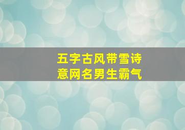 五字古风带雪诗意网名男生霸气