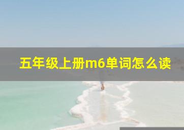 五年级上册m6单词怎么读