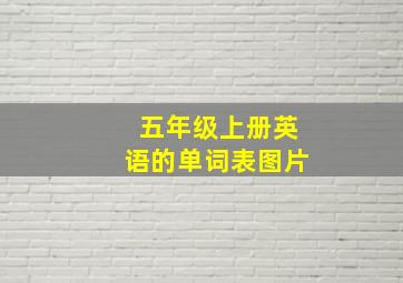 五年级上册英语的单词表图片