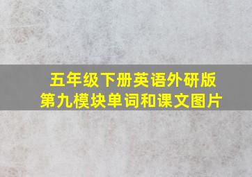 五年级下册英语外研版第九模块单词和课文图片