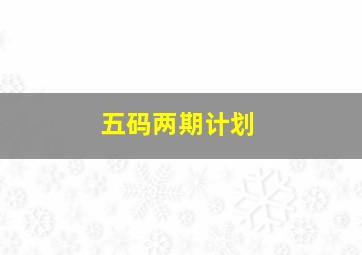 五码两期计划