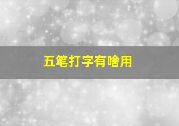 五笔打字有啥用