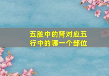 五脏中的肾对应五行中的哪一个部位