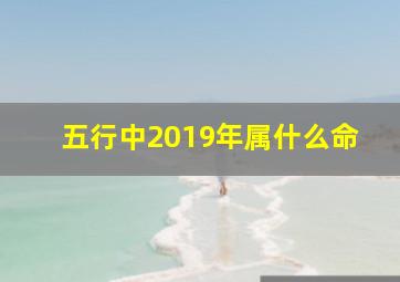 五行中2019年属什么命