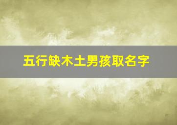 五行缺木土男孩取名字