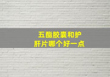 五酯胶囊和护肝片哪个好一点