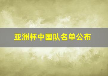 亚洲杯中国队名单公布