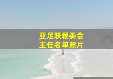 亚足联裁委会主任名单照片