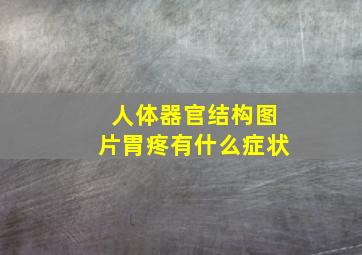 人体器官结构图片胃疼有什么症状