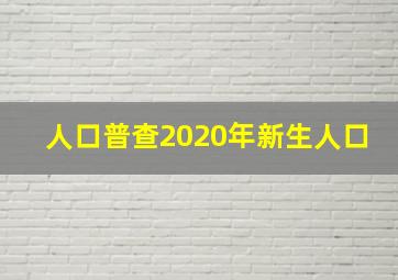 人口普查2020年新生人口