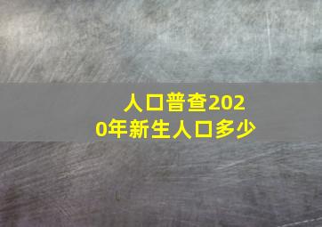 人口普查2020年新生人口多少