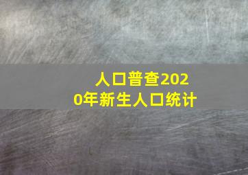 人口普查2020年新生人口统计