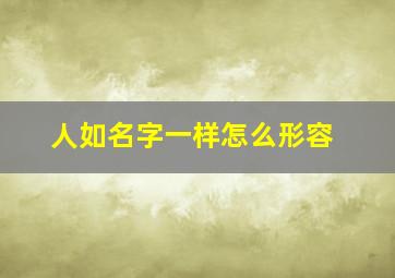 人如名字一样怎么形容