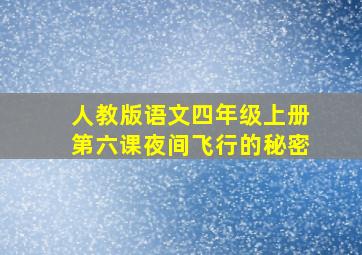 人教版语文四年级上册第六课夜间飞行的秘密