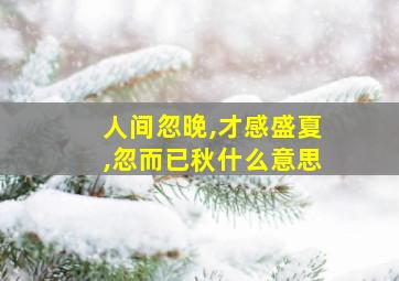 人间忽晚,才感盛夏,忽而已秋什么意思