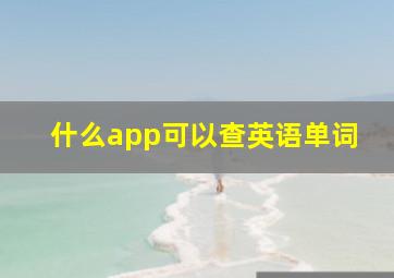 什么app可以查英语单词