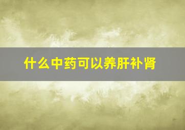 什么中药可以养肝补肾