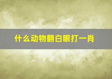 什么动物翻白眼打一肖