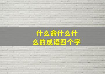 什么命什么什么的成语四个字