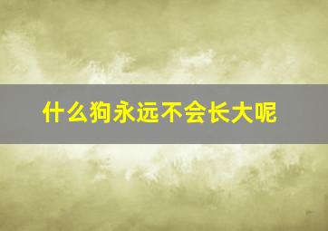 什么狗永远不会长大呢