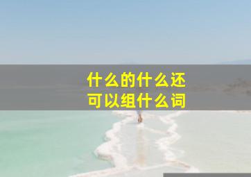 什么的什么还可以组什么词