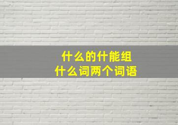 什么的什能组什么词两个词语