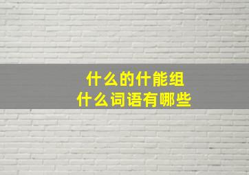 什么的什能组什么词语有哪些